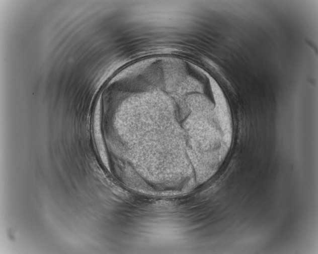 X0000099531178200806131121