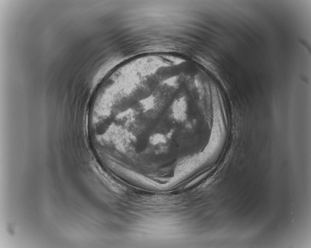 X0000099531179200806131121