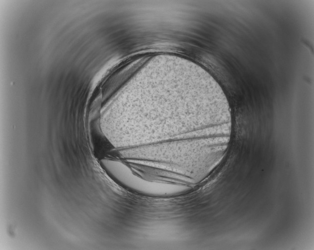 X0000099531180200806131121