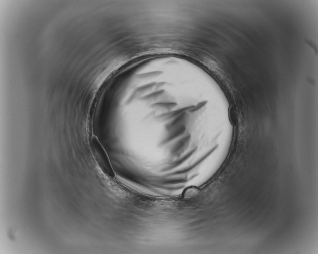 X0000099531181200806131121