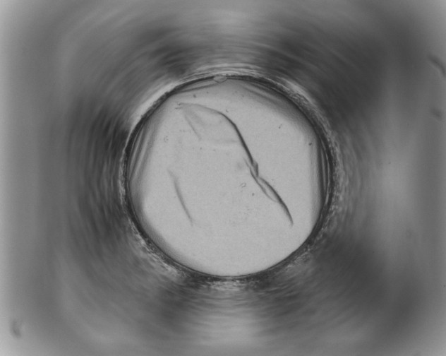 X0000099531182200806131121