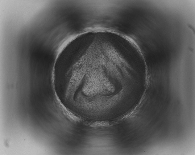 X0000099531183200806131121