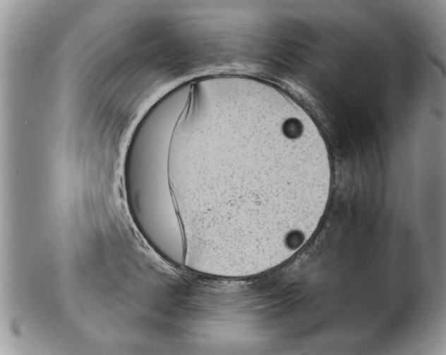 X0000099531184200806131121