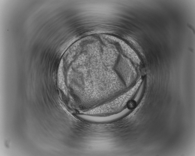 X0000099531185200806131121