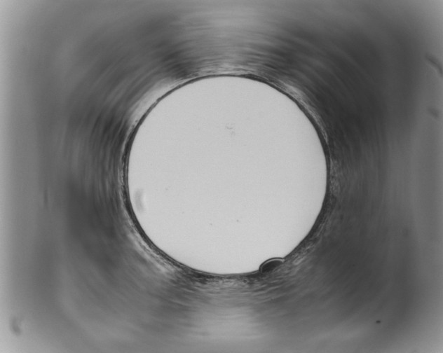 X0000099531187200806131121