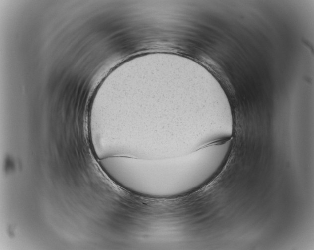 X0000099531188200806131121