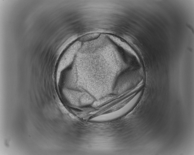 X0000099531189200806131121