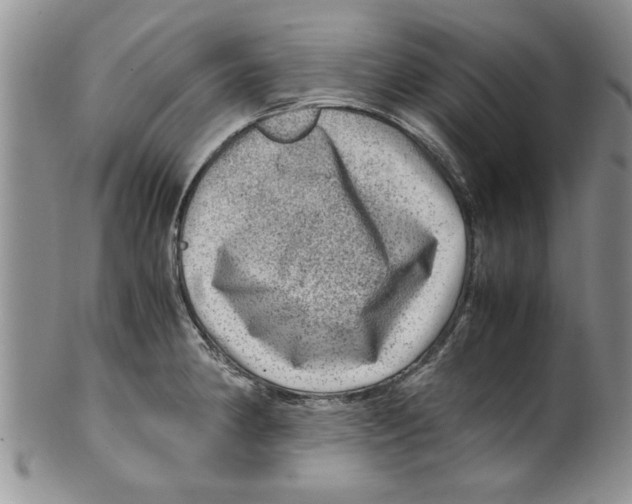 X0000099531190200806131120