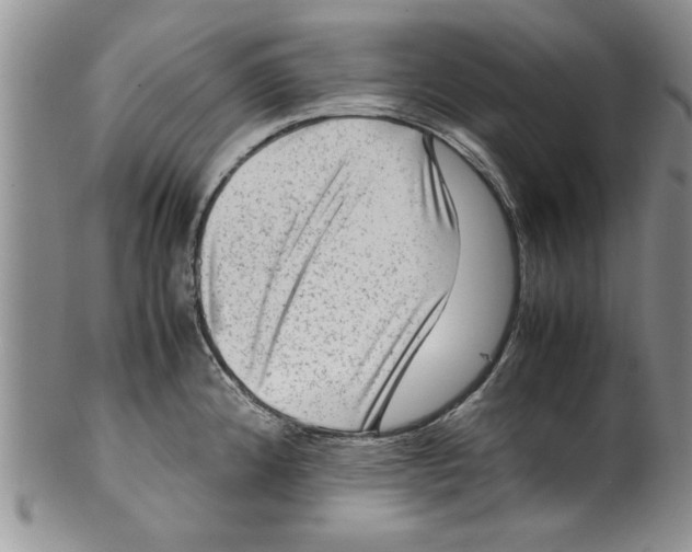 X0000099531192200806131120