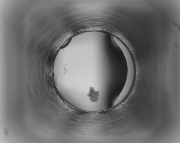 X0000099531193200806131120