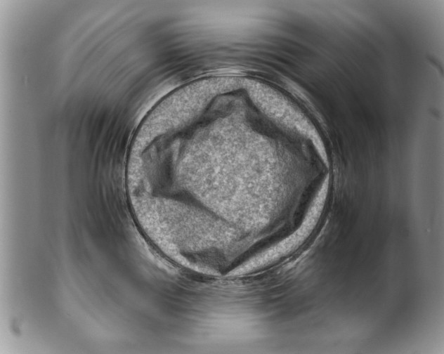 X0000099531194200806131120