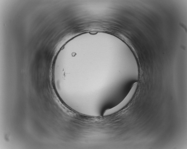 X0000099531195200806131120