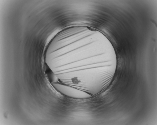 X0000099531196200806131120