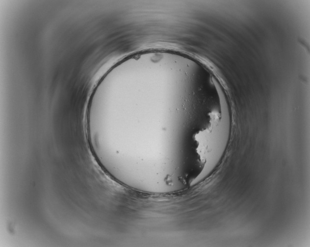 X0000099531199200806131120