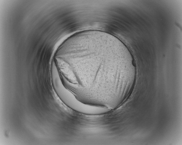 X0000099531200200806131120