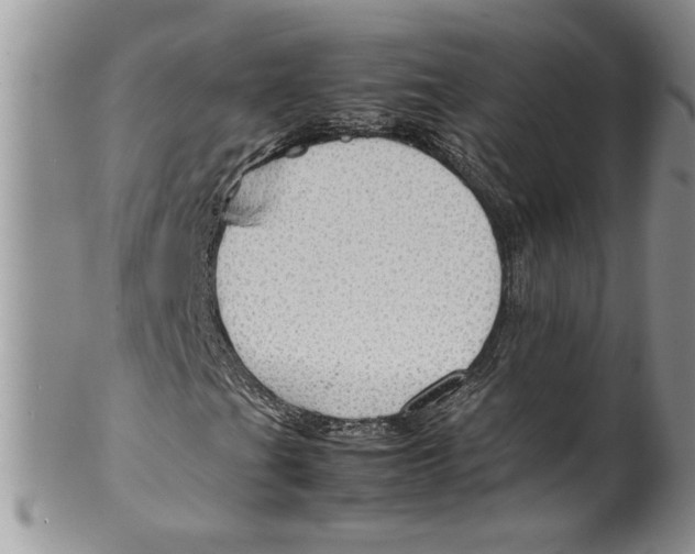 X0000099531201200806131120