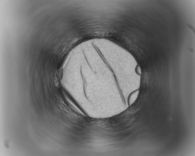 X0000099531202200806131120