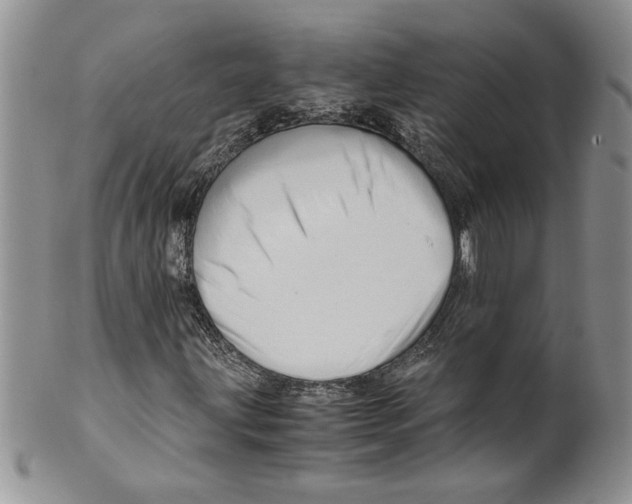 X0000099531203200806131120