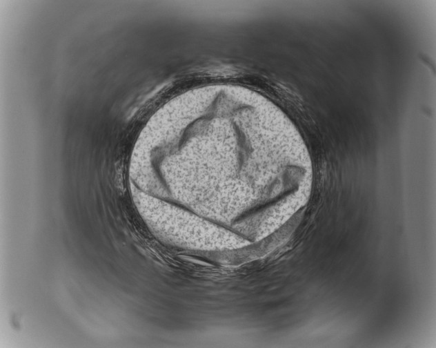 X0000099531205200806131120