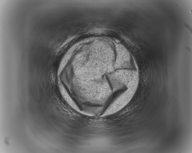 X0000099531206200806131120