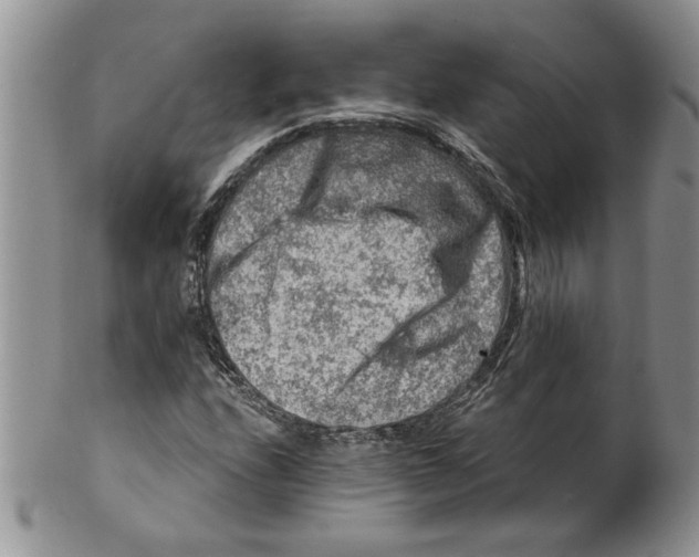 X0000099531208200806131120