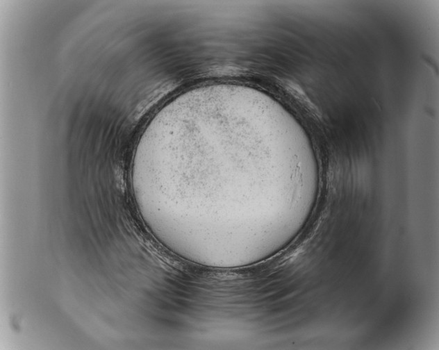 X0000099531209200806131120