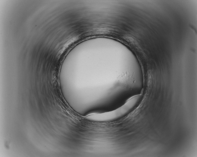 X0000099531210200806131120