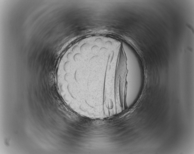 X0000099531212200806131120