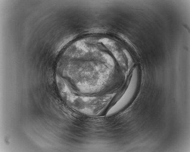 X0000099531213200806131120