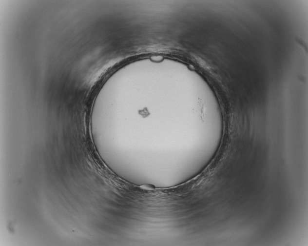 X0000099531214200806131120