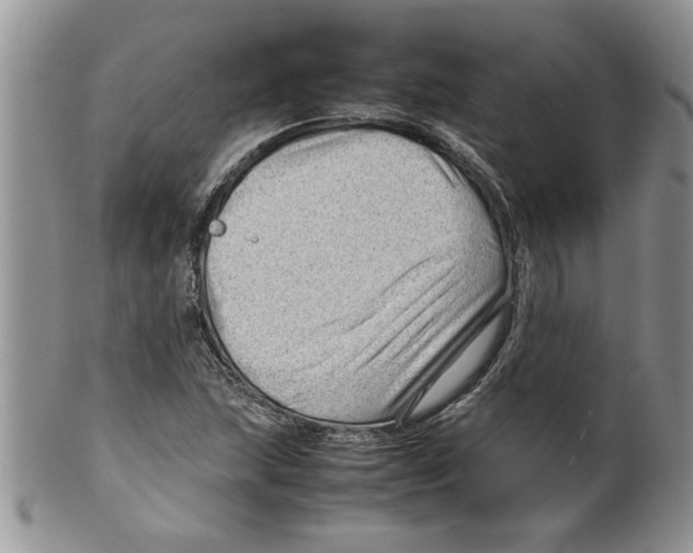 X0000099531215200806131120