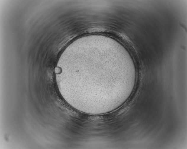 X0000099531217200806131120