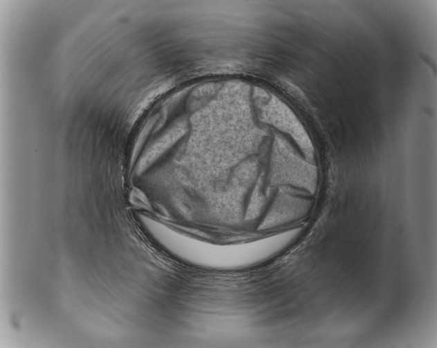 X0000099531218200806131120