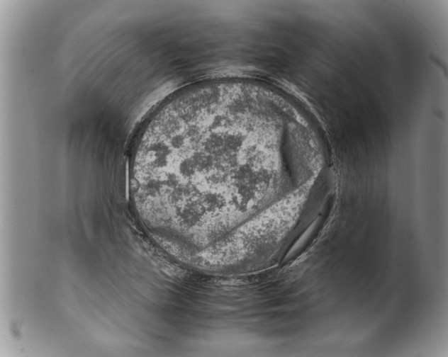 X0000099531219200806131120