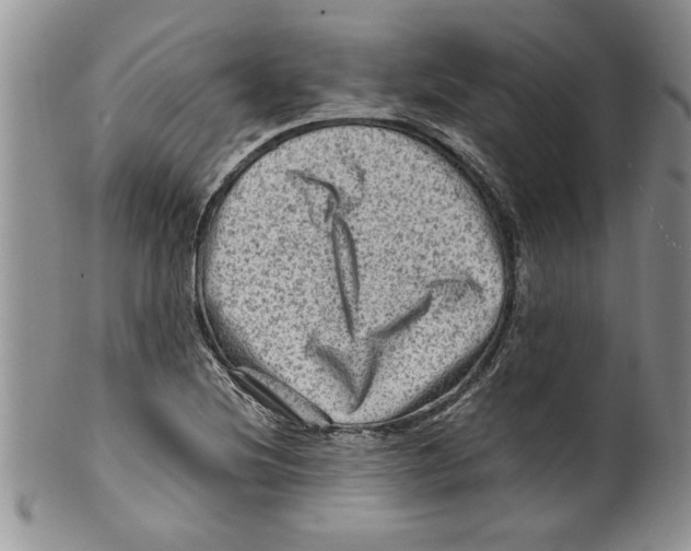 X0000099531220200806131120