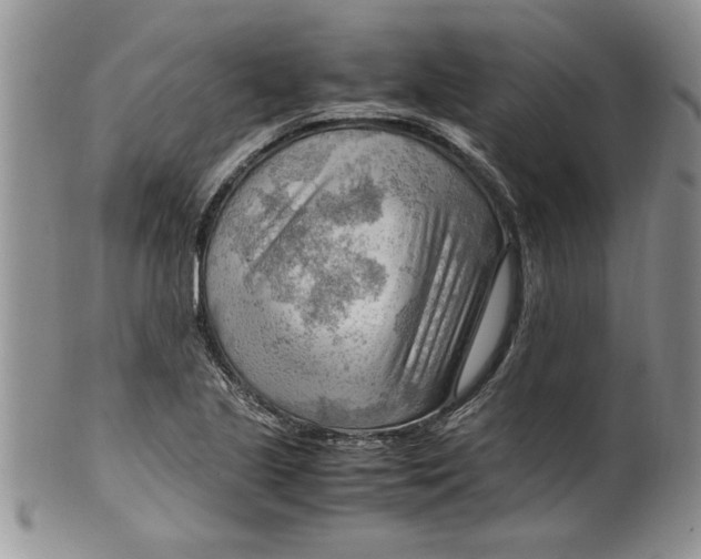 X0000099531221200806131120