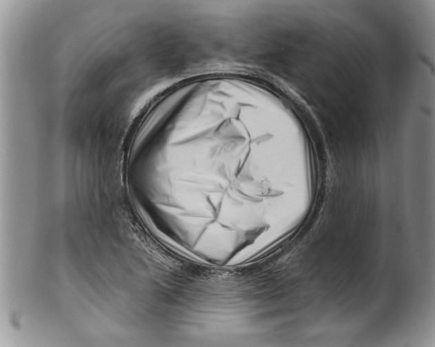 X0000099531222200806131120