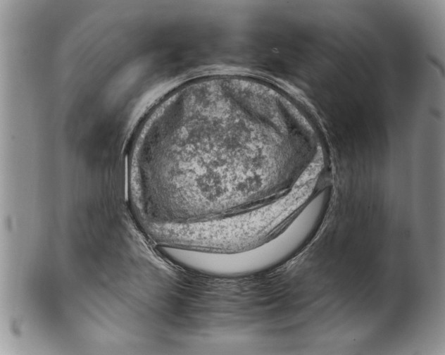 X0000099531223200806131120