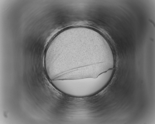 X0000099531224200806131120