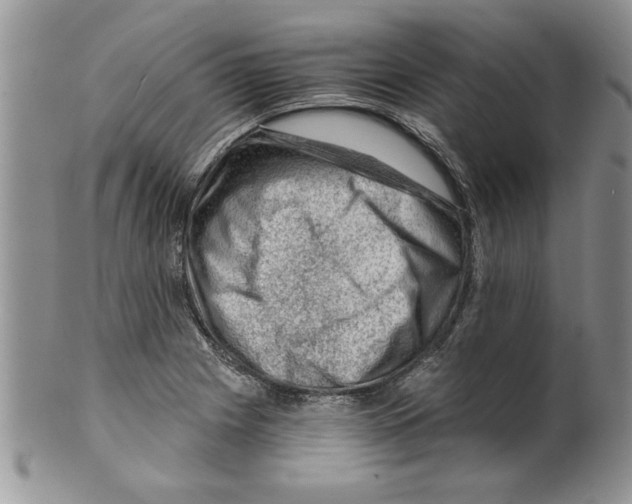 X0000099531225200806131120