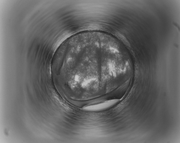 X0000099531226200806131120