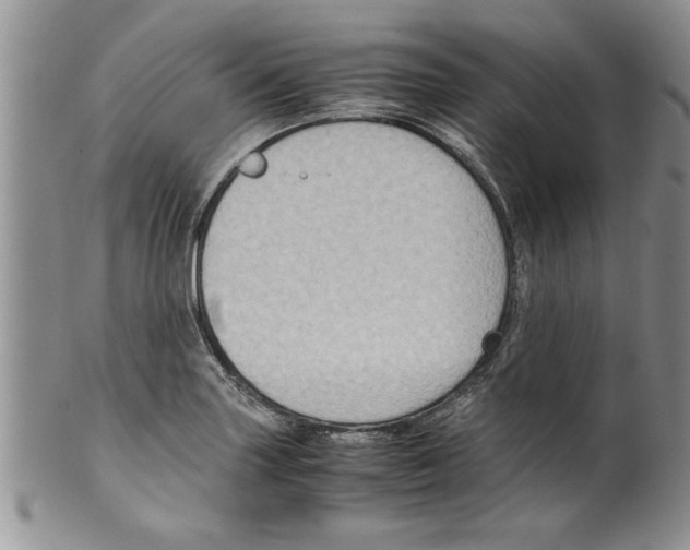 X0000099531227200806131120