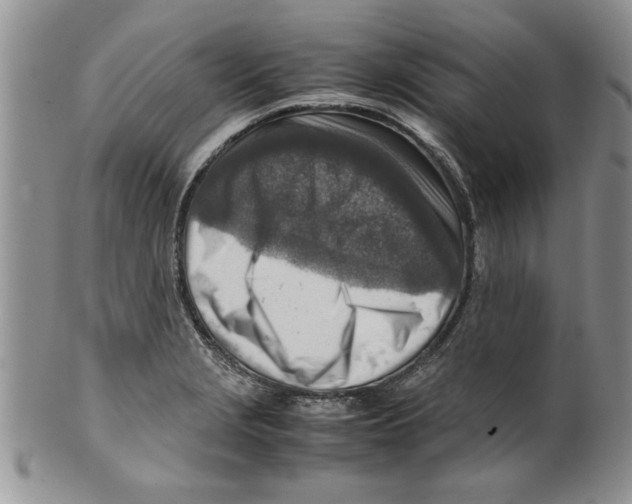 X0000099531229200806131120