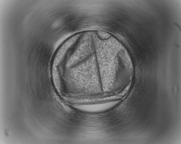 X0000099531230200806131120