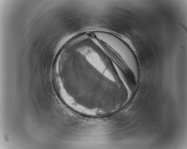 X0000099531231200806131120