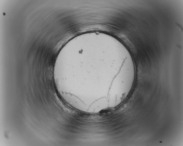 X0000099531233200806131120