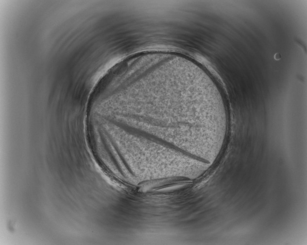 X0000099531237200806131120