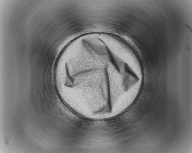 X0000099531238200806131120