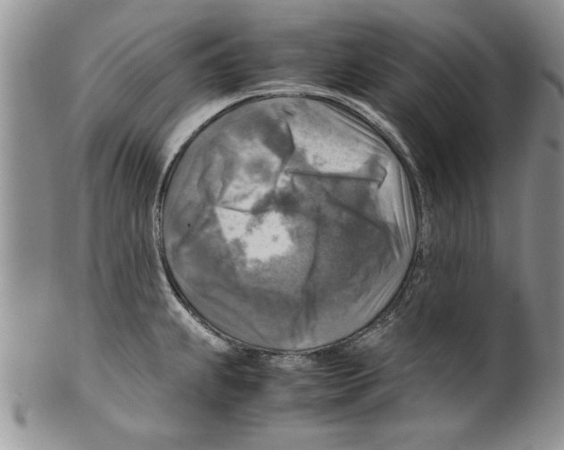 X0000099531239200806131120