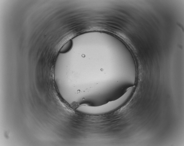 X0000099531241200806131120